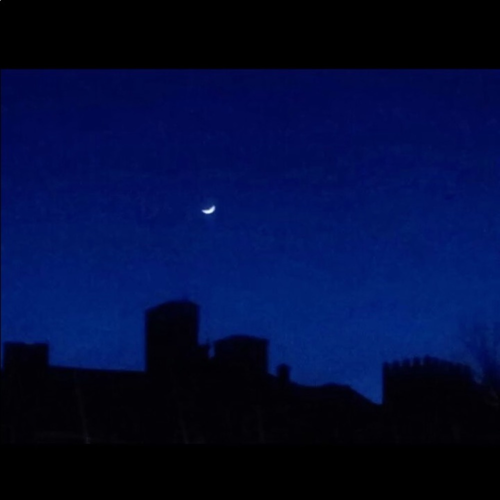 Meet your Posher, Damaris